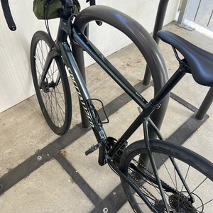 2020 Specialized Diverge Green