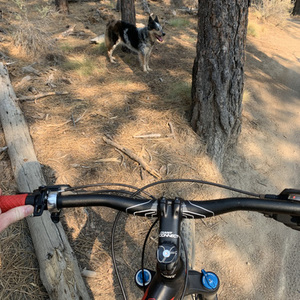 2018 Giant Embolden Black, Red, and Blue