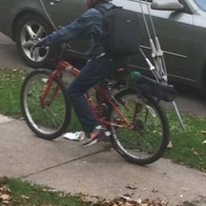 2016 Specialized Red