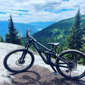 2023 Transition Bikes Patrol Carbon Silver, gray or bare metal