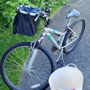 Schwinn Silver, gray or bare metal and Blue