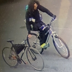 Schwinn Silver, gray or bare metal and Blue