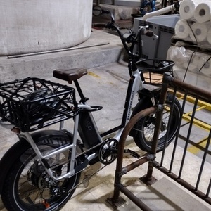 2021 Rad Power Bikes RadRunner plus Silver, gray or bare metal