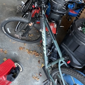 2021 Giant Mountain Bike Green