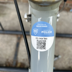 2011 Trek Allant WSD