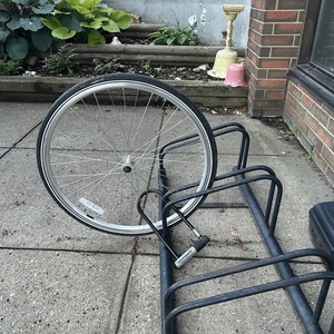 2011 Trek Allant WSD Green