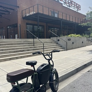 2023 Rad Power Bikes Rad Runner 2 Green