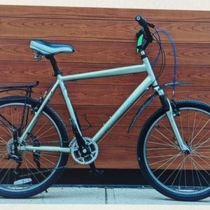 Specialized Expedition Silver, gray or bare metal