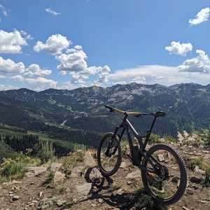 2014 Evil Uprising Black and Yellow or Gold