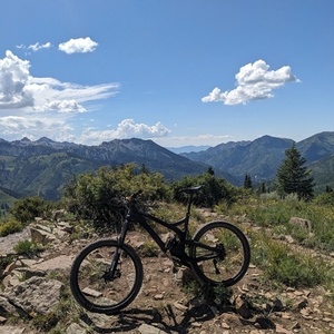 2014 Evil Uprising Black and Yellow or Gold