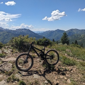 2014 Evil Uprising Black and Yellow or Gold