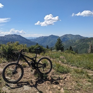 2014 Evil Uprising Black and Yellow or Gold