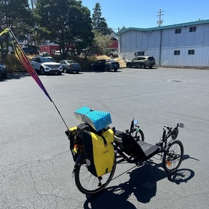 2023 Catrike 559 recumbent Purple