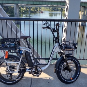 2021 Rad Power Bikes RadRunner plus Silver, gray or bare metal