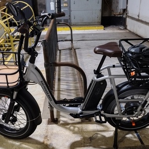 2021 Rad Power Bikes RadRunner plus Silver, gray or bare metal