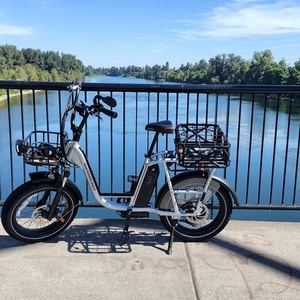 2021 Rad Power Bikes RadRunner plus Silver, gray or bare metal