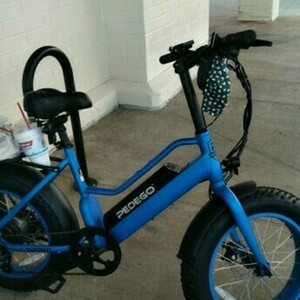 2022 Pedego Element+ Blue