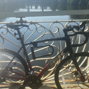 2021 Trek Domane AL5 58cm Lithium Grey to Crims... Silver, gray or bare metal and Red