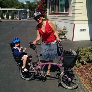 2010 Brompton Bicycle Purple