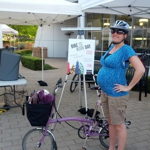 2010 Brompton Bicycle Purple