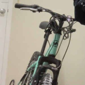 2021 Nishiki Pueblo Teal