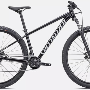 2021 Specialized Rockhopper Comp Silver, gray or bare metal