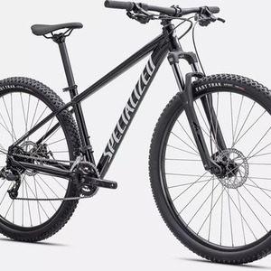 2021 Specialized Rockhopper Comp Silver, gray or bare metal