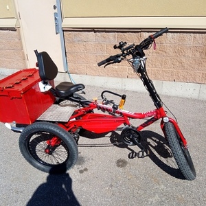 2022 Trivel tricycle Red