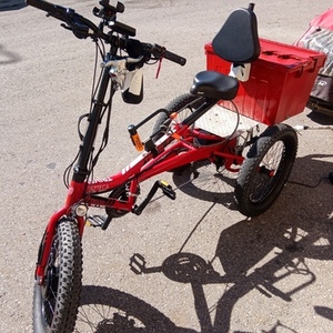 2022 Trivel tricycle Red