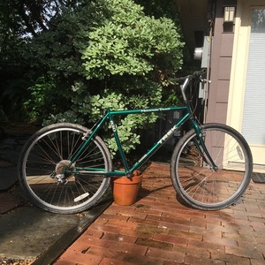 1994 Trek Most likely 830 SHX or similar Green