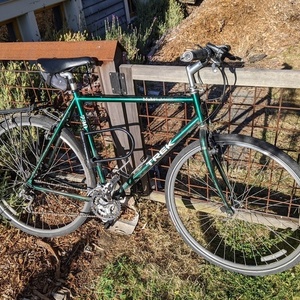 1994 Trek Most likely 830 SHX or similar Green
