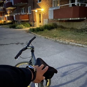 2009 Kona Silver, gray or bare metal