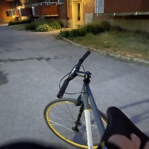 2009 Kona Silver, gray or bare metal