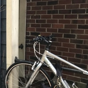 2023 Trek Silver, gray or bare metal and Blue