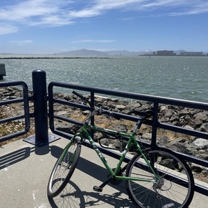 Trek 820 Green