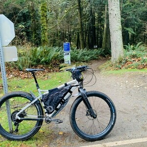 2016 RSD Mayor V3 Silver, gray or bare metal