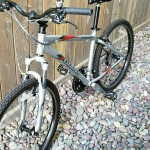 2023 Giant Boulder SE Silver, gray or bare metal