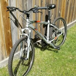 2023 Giant Boulder SE Silver, gray or bare metal