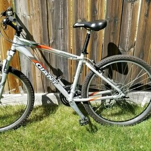 2023 Giant Boulder SE Silver, gray or bare metal