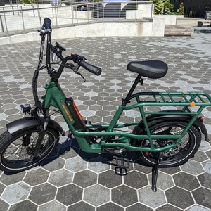 2023 Rad Power Bikes Rad runner 3+ Green