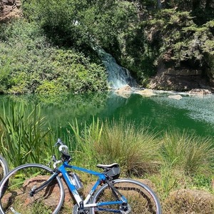 Novara Carema Blue and White