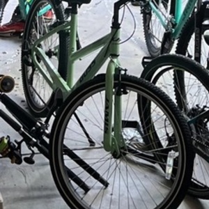 2019 Jamis Boss Beach Cruiser Green