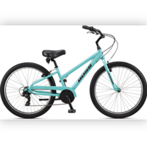 2019 Jamis Boss Beach Cruiser Green