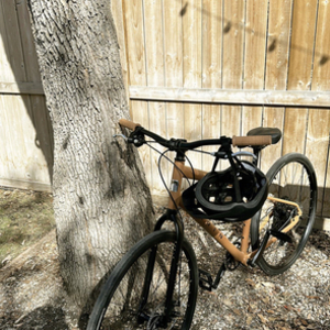 2023 Marin Bikes Kentfield 2 Brown and Black