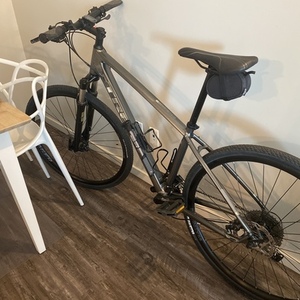 2019 Trek Dual Sport 4 Silver, gray or bare metal