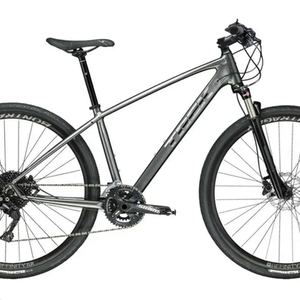 2019 Trek Dual Sport 4 Silver, gray or bare metal