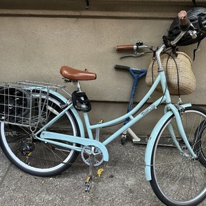 2021 Pure Cycles Pure City Step-Through 45cm