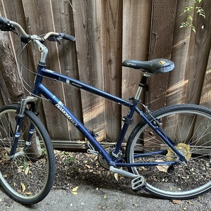 Diamondback Edgewood 19"