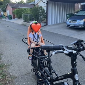 2022 Rad Power Bikes 24" Rad Wagon LE cargo bike (front storage) Black