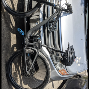 2020 Giant Trance 3 Silver, gray or bare metal